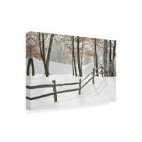 Зимната ограда и сянката на Фармингтън Хилс Мичиган