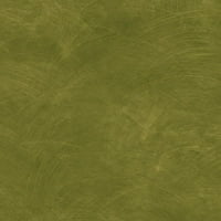 Chesapeake зелен черен тапет за промиване на цветове