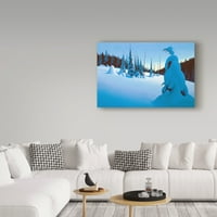 Запазена марка изобразително изкуство 'снежна Зора' платно изкуство от Рон Паркър