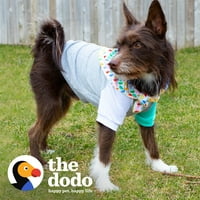 Облекло Додо Куче Кърпа & Цвят Блок Тениска-Голям