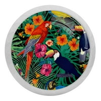 Кръгъл папагал Флуоресценция копче, светещо в тъмното чекмедже за мебели, дръпна дръжка с винтове