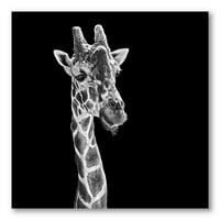 Портрет на жираф на Черно втора фотография платно Арт Принт