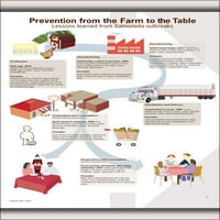 24 x36 Плакат за галерия, предотвратяване на салмонела от фермата на инфографика на фермата до маса