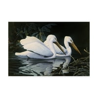 Платното изкуство 'плуване с Пеликани' на Майкъл Бъдън