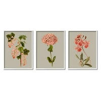 Ступел индустрии Реколта розови флорални клъстери Пролет Люляк илюстрации Графика Изкуство бяла рамка изкуство печат стена арт комплект от 3, 16х20