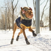 За домашни любимци Вила куче анорак С качулка зимно палто Еластофит технология ветроупорен водоустойчив облекло за малки средни големи кучета домашни любимци, фл?