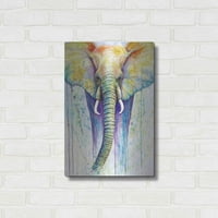 Luxe Metal Art 'Elephant Colors' от Michelle Faber, Metal Wall Art, 16 x24