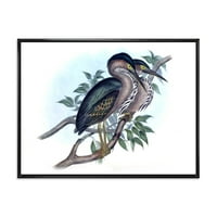 Дизайнарт' древните австралийски птици седми ' традиционна рамка платно стена арт принт