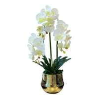 Бяла орхидея истинска допир флорална подредба