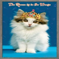 Кийт Кимбърлин - коте - Плакат за кралица на стената, 22.375 34