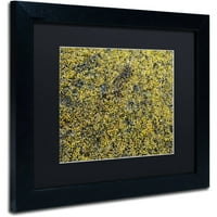 Търговска марка изобразително изкуство' водорасли ' платно изкуство от Никол Диц, Черен мат, черна рамка