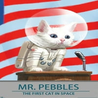 Fallout - Mr. Pebbles - първата котка в плакат за космическа стена, 14.725 22.375