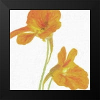 Greene, Taylor Black Modern Modeam Museum Art Print, озаглавен - Tangerine Floral Pair